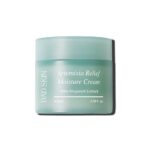 Bad Skin Artemisia Relief Moisture Cream 100ml
