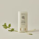 Beauty of Joseon Matte Sun Stick Mugwort + Camelia SPF50+ PA++++ 18g - immagine 3